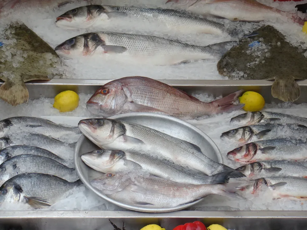 Un matériel adapté à votre activiwebp